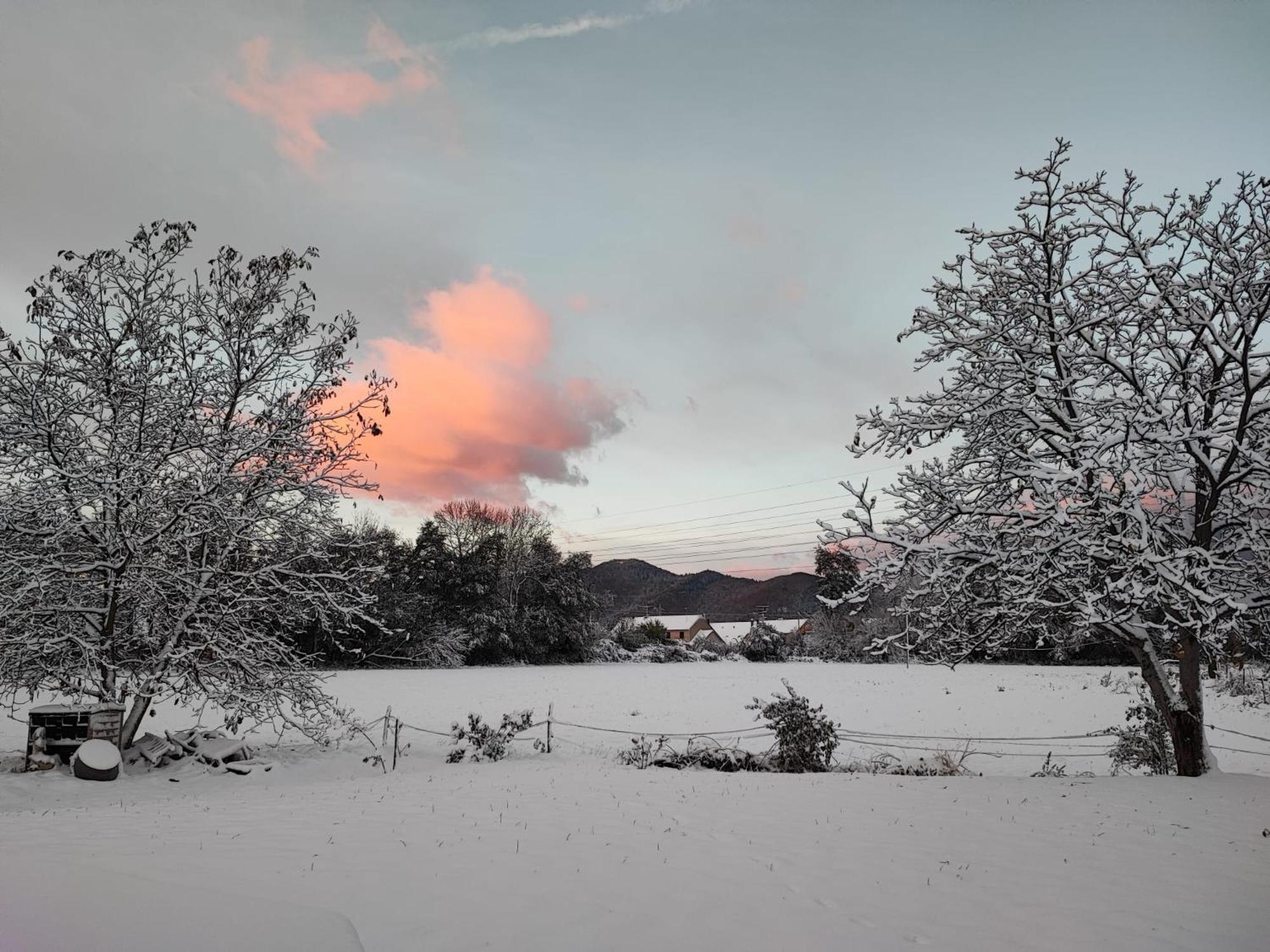 Chez " Les Ligibell " Bed & Breakfast วินเซินไฮม์ ภายนอก รูปภาพ